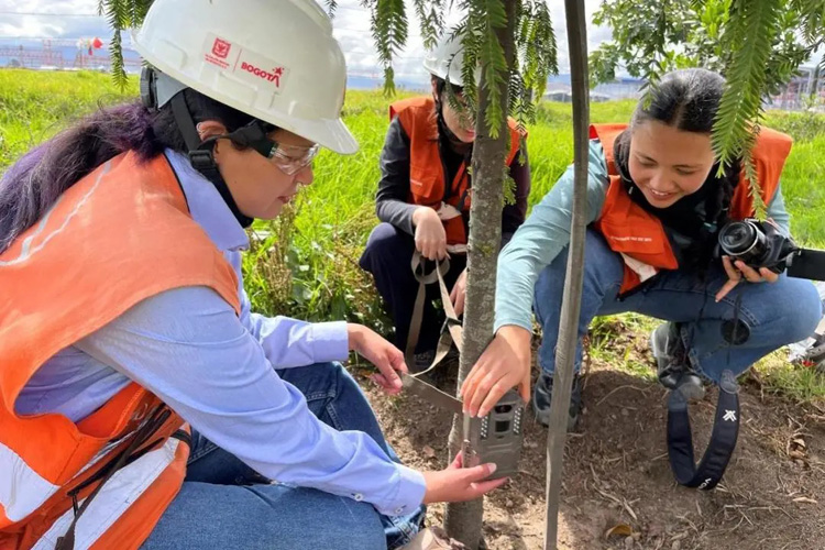 哥伦比亚师生探秘波哥大地铁1号线生态保护实践.jpg